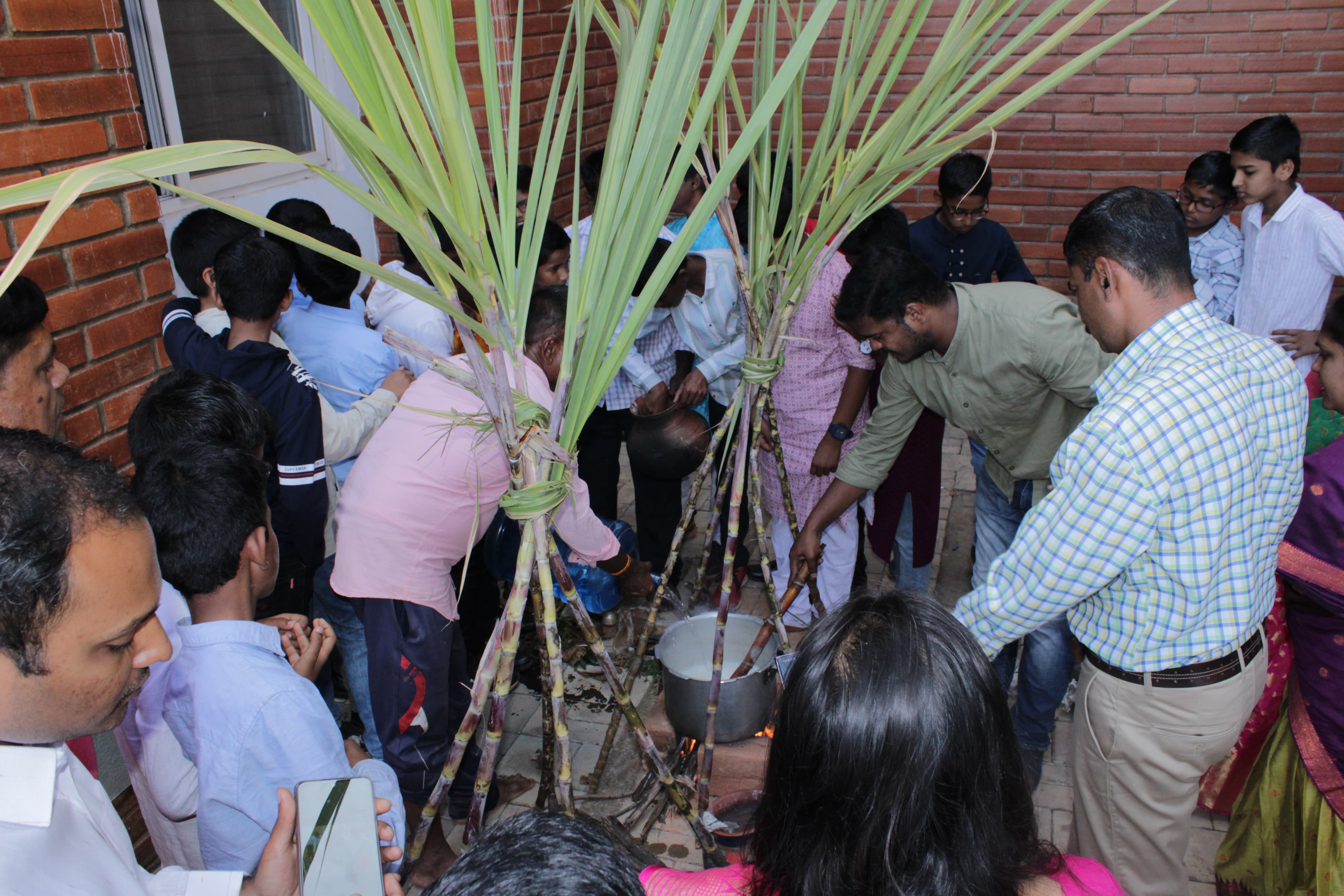 Pongal Celebration
