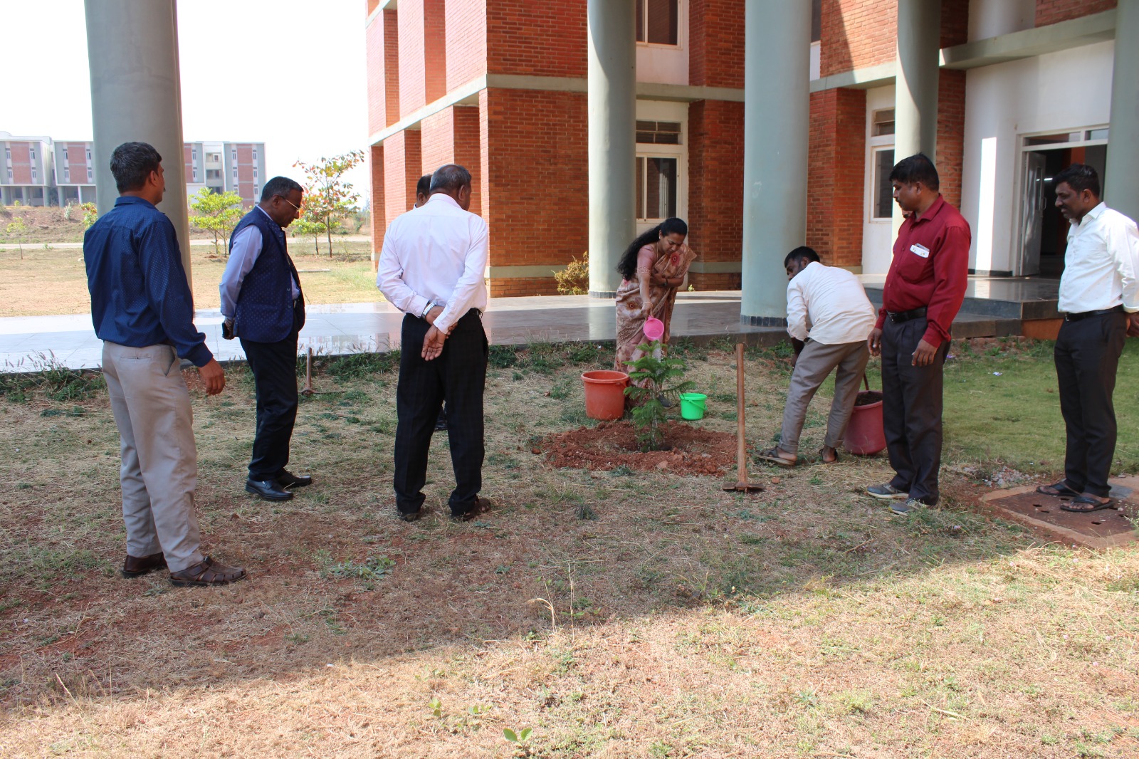 Plantation by Commissioner