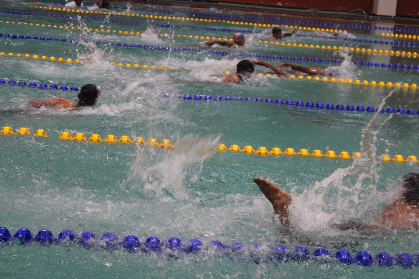 Interhouse Swimming Competition 2k26